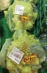 20201212ロマネスコ.jpg