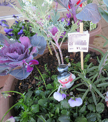 20201216サンタ付き寄せ植え.jpg