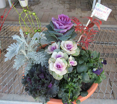 20201219迎春寄せ植え.jpg