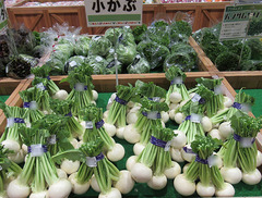 20201220こかぶ.jpg