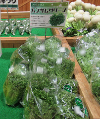 20201220ハンサムグリーン.jpg