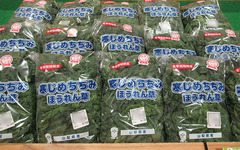 20210105ちぢみほうれん草.jpg