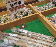 20210109自然薯.jpg