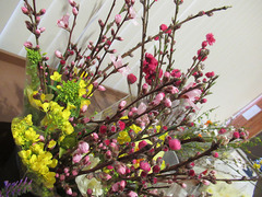 20210324桃な花.jpg