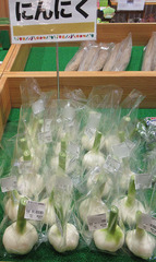 20210424にんにく.jpg