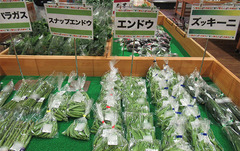 20210424エンドウ外.jpg