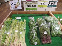20210505うどせりよもぎ.jpg