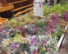 20210505スターチス.jpg