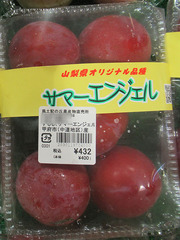 20210702サマーエンジェル.jpg