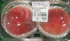 20210715なつっこ1.jpg