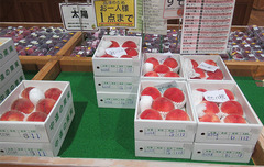 20210725おどろきくにか.jpg