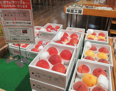 20210812幸茜.jpg