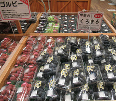 20210812甲斐のくろまる.jpg
