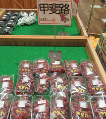 20210818甲斐路.jpg