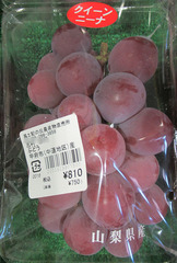 20210830クイーンニーナ.jpg