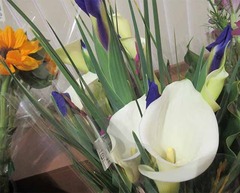 210505切り花カラー.jpg