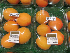 あんず20200619.jpg