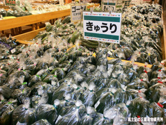 きゅうり.jpg