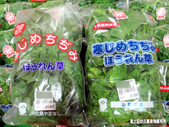 ちぢみほうれん草0106.jpg
