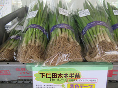 ねぎ0327.jpg