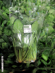 ほうれん草0131.jpg