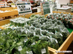 ほうれん草各種.jpg