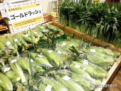 もろこし.jpg