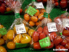 アイコ0626.jpg