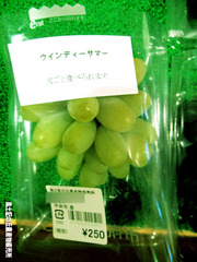 ウィンディーサマー0807.jpg