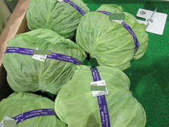 キャベツ20200504.jpg