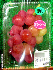 サマークイーン0929.jpg