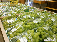 シャイン.jpg