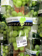 シャイン0818.jpg