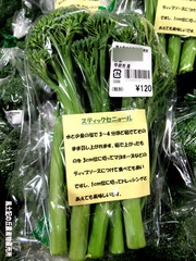 スティックセニョール1020.jpg