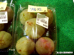 ソルダム0707.jpg