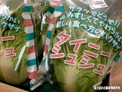 タイニーシュシュ.jpg