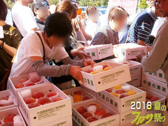 フルーツ祭りブログ2.jpg