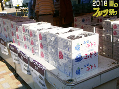 フルーツ祭りブログ4.jpg