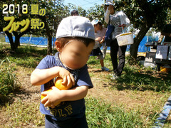 フルーツ祭りブログ7.jpg