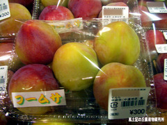 フームサ0707.jpg