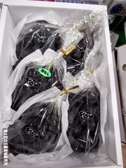 ブラックビート0818.jpg