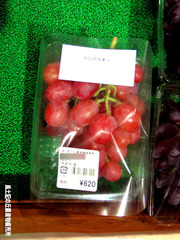 ベニバラオー0905.jpg