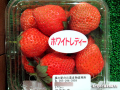 ホワイトレディー0206.jpg