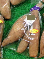 ヤーコン0308.jpg