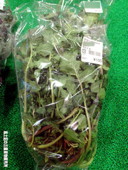ルッコラ0209.jpg