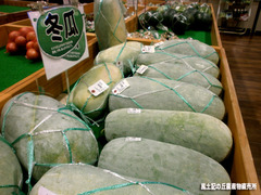 冬瓜2.jpg