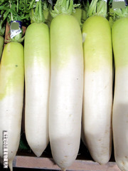 大根0106.jpg