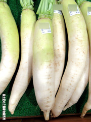 大根0929.jpg