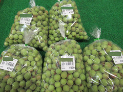 小梅20200506.jpg