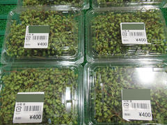 山椒の実20200608.jpg